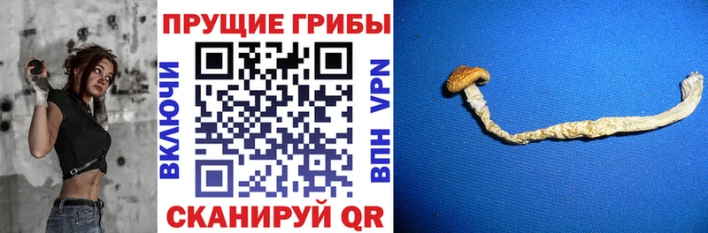 Псилоцибиновые грибы MAGIC MUSHROOMS Вилючинск